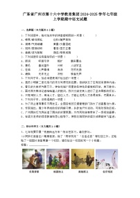 广东省广州市第十六中学教育集团2024-2025学年七年级上学期期中语文试题（含答案）
