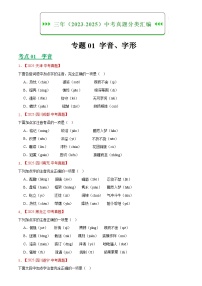 2023-2025年语文全国中考真题分类汇编 专题01 字音字形