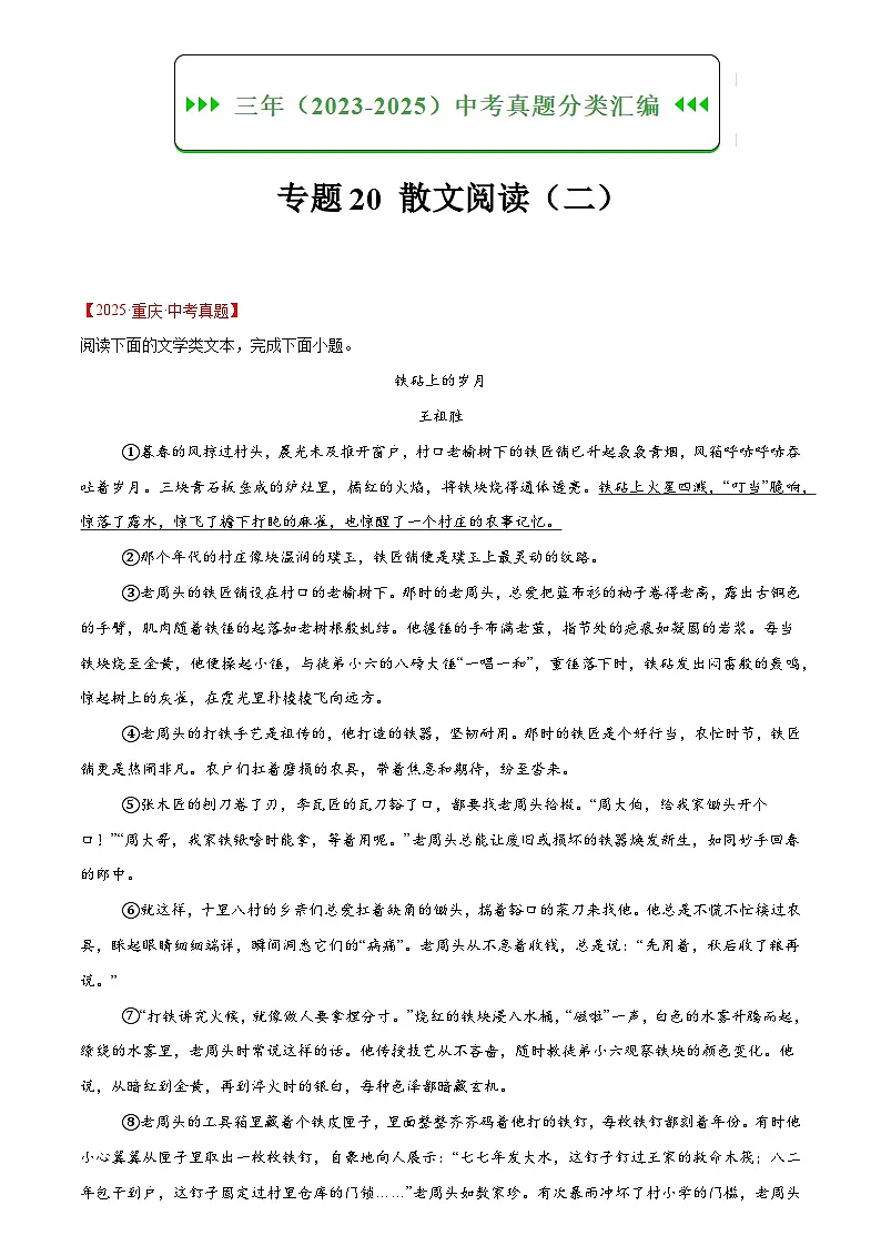 2023-2025年语文全国中考真题分类汇编 专题20 散文阅读(二)第1页
