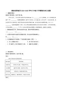 湖南省娄底市2024-2025学年八年级下学期6月期末语文试卷