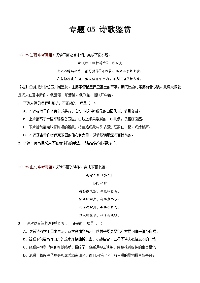 2025年中考语文真题分类汇编(全国通用)专题05 诗歌鉴赏(第1期)(原卷版)第1页
