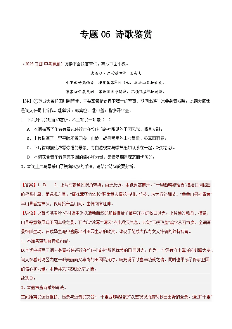 2025年中考语文真题分类汇编(全国通用)专题05 诗歌鉴赏(第1期)(解析版)第1页