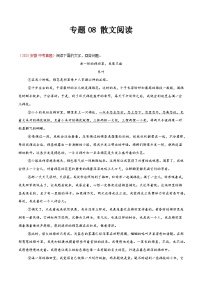 2025年中考语文真题分类汇编（全国通用）专题08 散文阅读（第1期）（解析版）