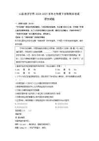 山东省济宁市2024-2025学年七年级下学期期末考试语文试卷（解析版）