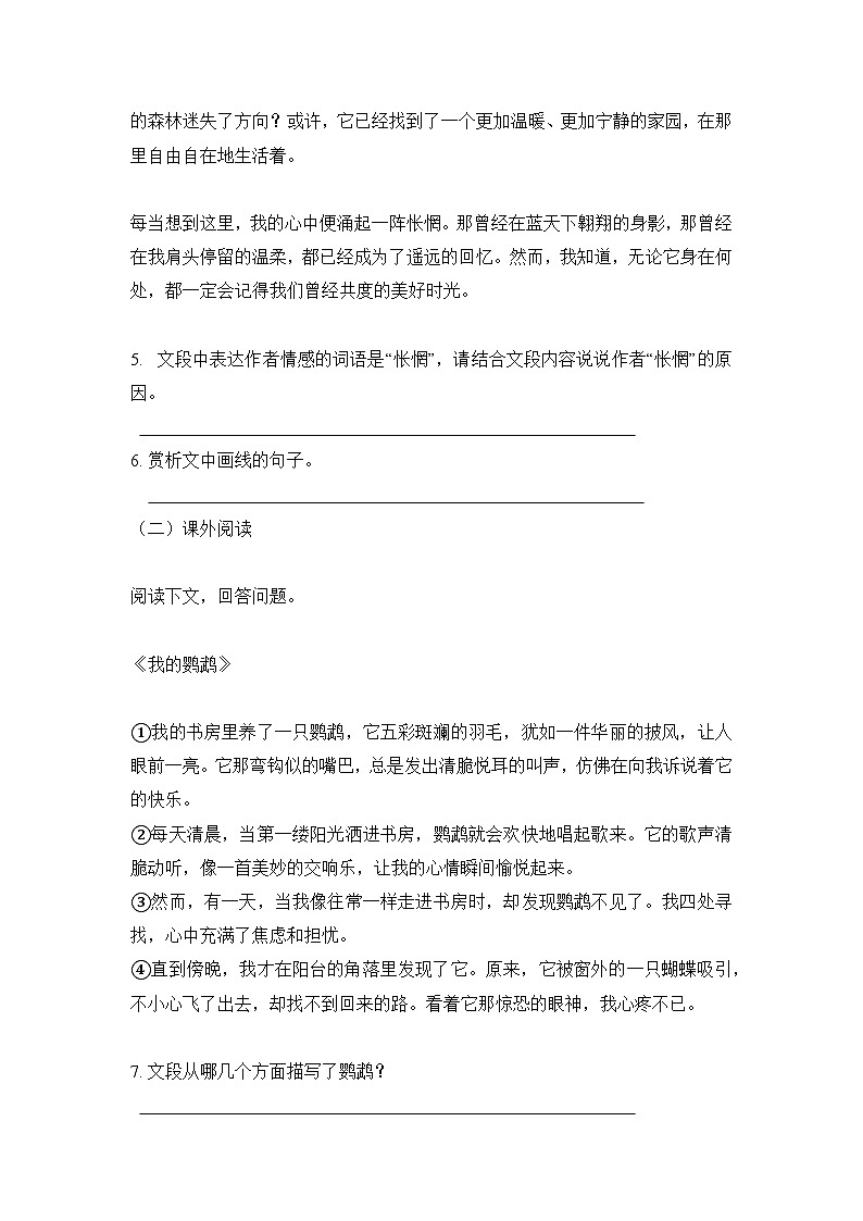 统编版(2024)语文7年级上册第18课 我的白鸽 课时练(含答案)02第2页