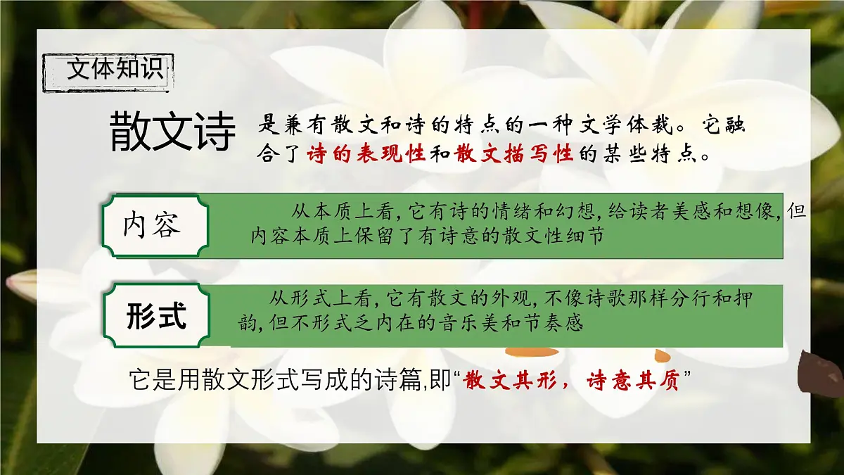 初中 语文 人教部编版(2024) 七年级上册(2024) 第二单元7 散文诗二首 课件第4页