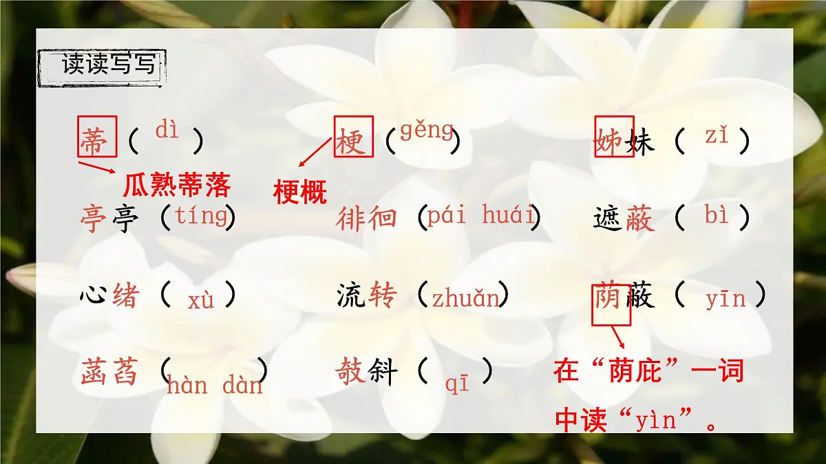 初中 语文 人教部编版(2024) 七年级上册(2024) 第二单元7 散文诗二首 课件第5页