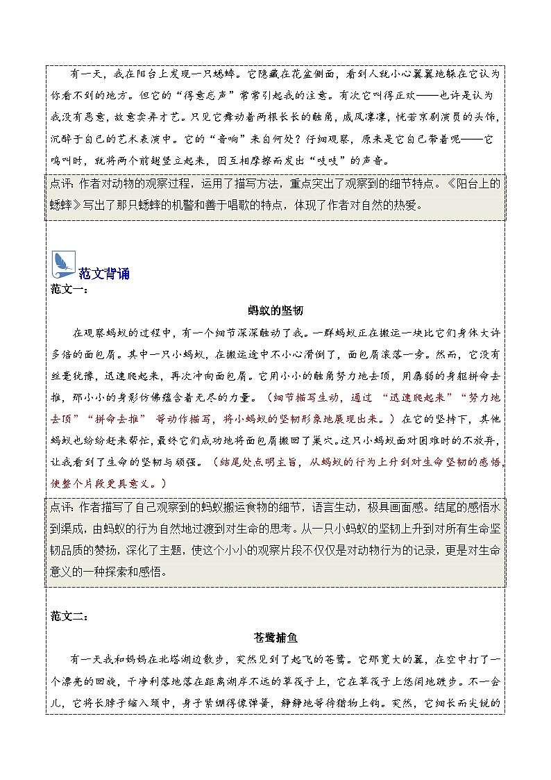 七年级语文上册同步作文 第五单元 记叙与动物的相处(练习)2025-2026学年第一学期 统编版2024第2页