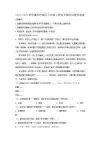 2022-2023学年重庆巴南区七年级上册语文期末试卷及答案