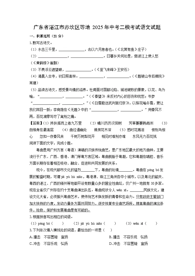 广东省湛江市赤坎区等地2025年中考二模考试语文试题(解析版)第1页
