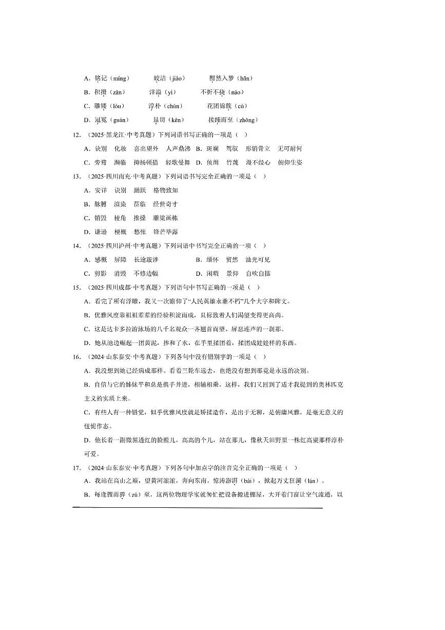备考2026五年中考真题语文分类汇编 1.字音字形试卷(含答案解析)第3页