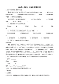 2026年中考语文一轮复习学案：积累与运用（含答案解析与范文例文）全国通用