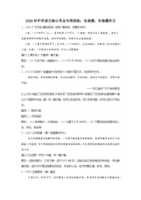2026年中考语文核心考点专项训练：全命题、半命题作文（含答案解析与范文例文）全国通用
