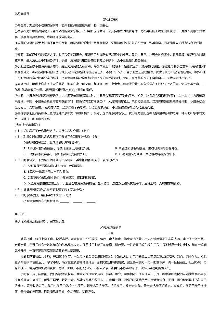 2024~2025学年北京海淀区师达中学初一上学期分班考试语文试卷(测试)(有答案解析)第2页