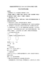 河南省洛阳市洛宁县2024-2025学年七年级下学期期末考试语文试题（解析版）