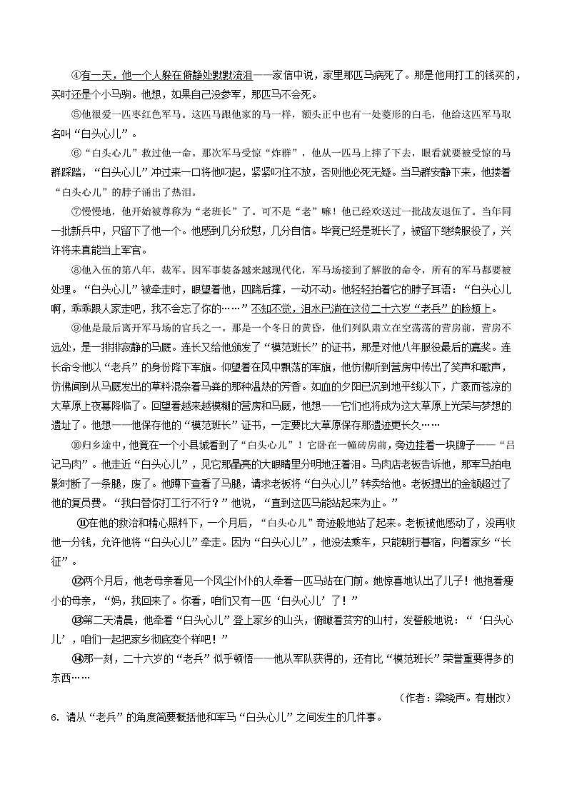 专题07 小说阅读(河南专用)(原卷版)第3页