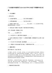 广东省惠州市惠阳区2024-2025学年七年级下学期期中语文试题（含答案）