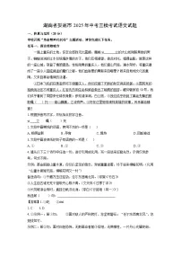 湖南省娄底市2025年中考三模考试语文试题（解析版）