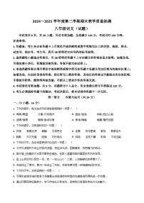 广东省湛江市廉江市2024-2025学年八年级下学期期末考试语文试卷（含答案）