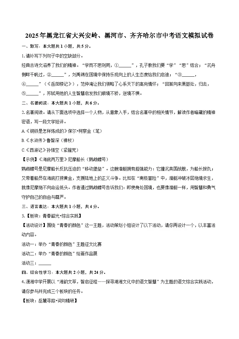2025年黑龙江省大兴安岭、黑河市、齐齐哈尔市中考语文模拟试卷【含答案】第1页