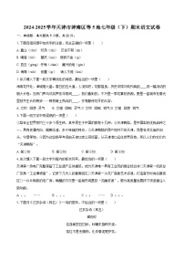 2024-2025学年天津市津南区等5地七年级（下）期末语文试卷（含详细答案解析）