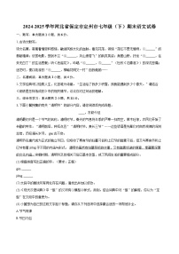 2024-2025学年河北省保定市定州市七年级(下)期末语文试卷(含详细答案解解析)