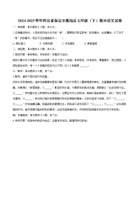 2024-2025学年河北省保定市莲池区七年级（下）期末语文试卷（含详细答案解解析）