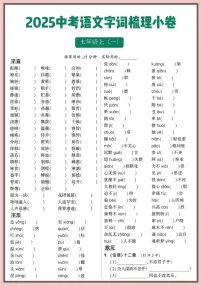 2025中考语文字词梳理资料学案