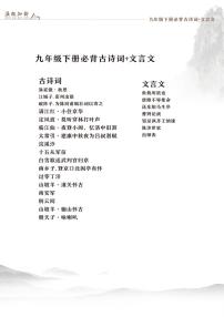 人教版九年级上册语文期末专项练习古文+文言文知识点汇总