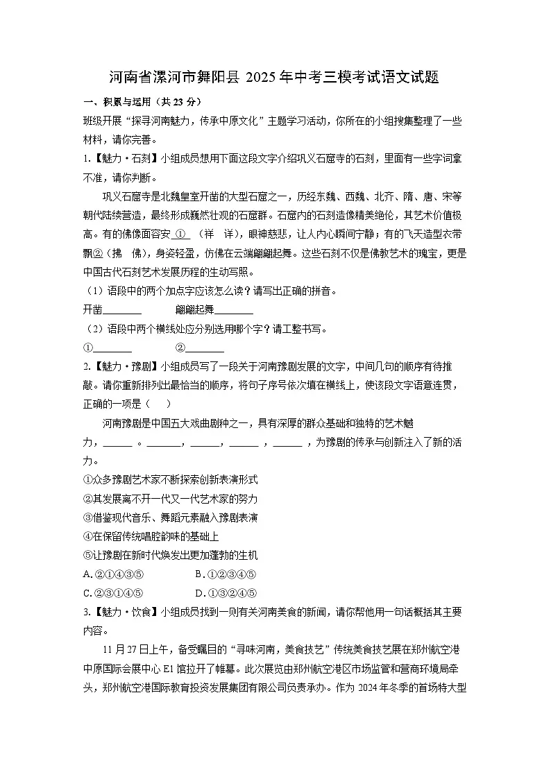 河南省漯河市舞阳县2025年中考三模考试语文试卷(解析版)第1页