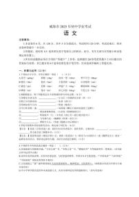 2025年山东省威海市中考语文试题卷（含答案解析）