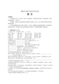2025年威海市中考语文试题卷（含答案解析）