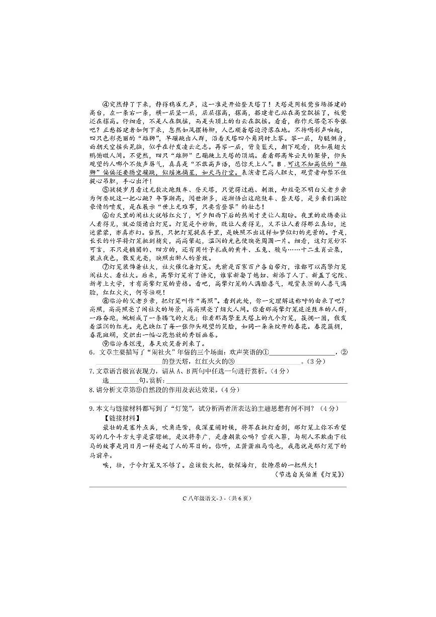 2024~2025学年河南省驻马店市确山县八年级下期中素质测试语文试卷(含答案)第3页