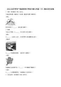 2024-2025学年广东省深圳中学初中部七年级（下）期末语文试卷（含详细答案解析）