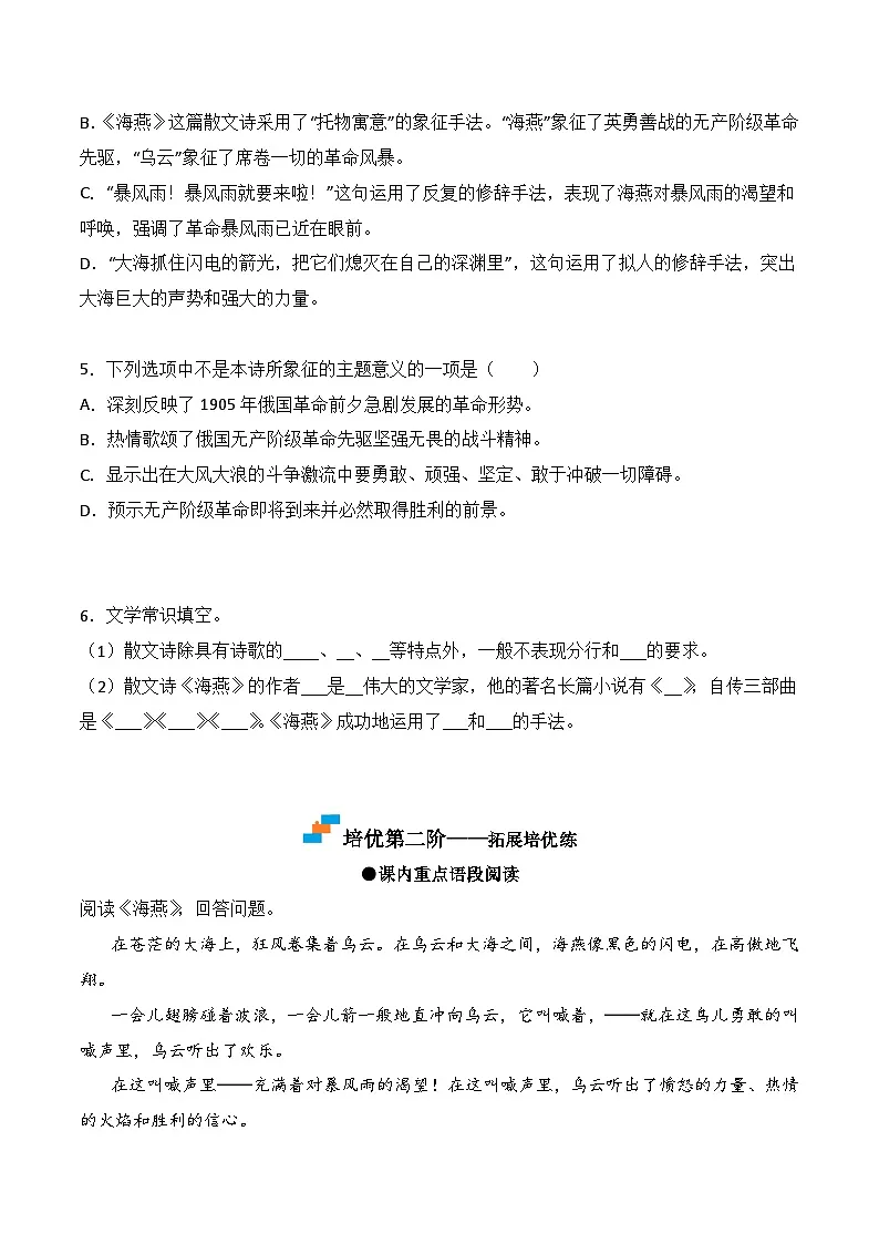 新人教部编版初中语文九下1-4《海燕》课后培优分级练习(原卷版无答案)第2页