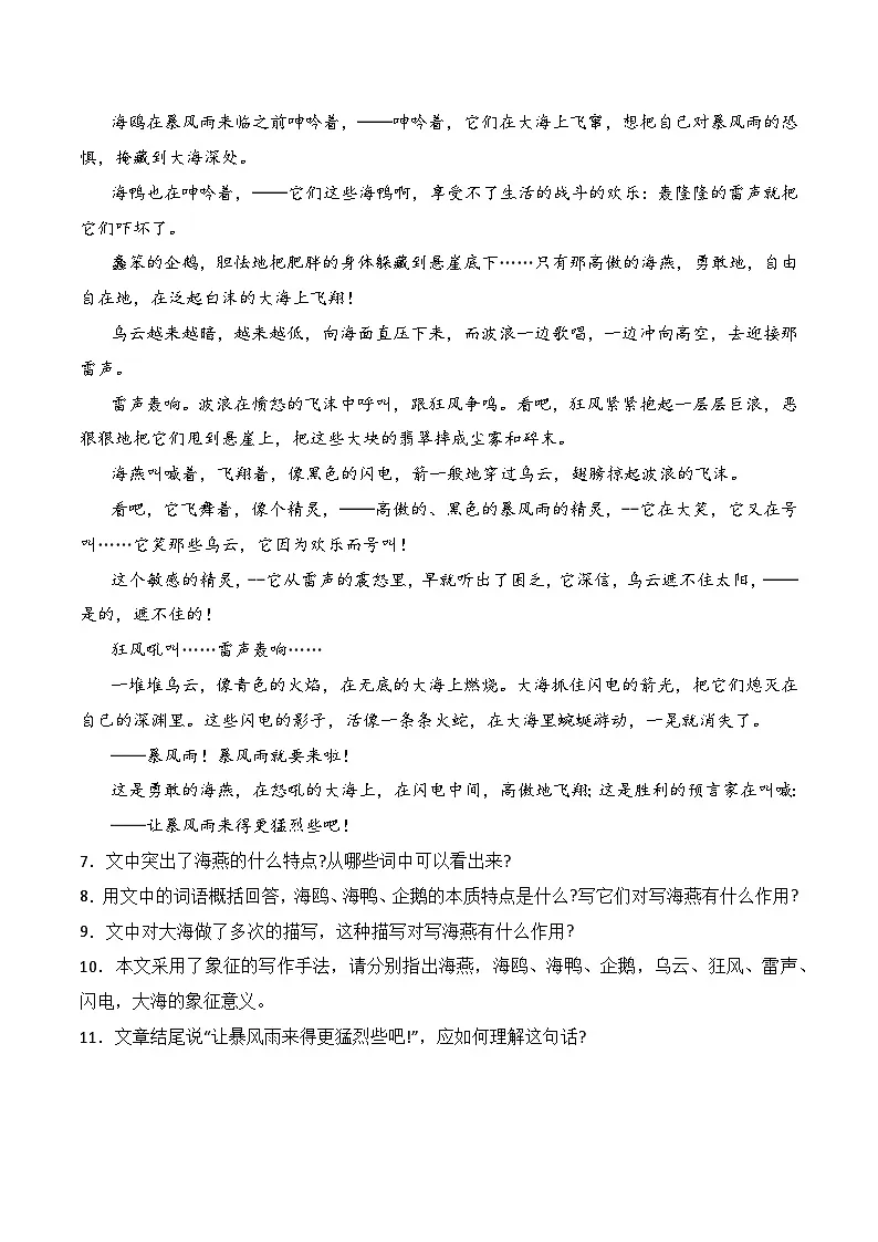 新人教部编版初中语文九下1-4《海燕》课后培优分级练习(原卷版无答案)第3页