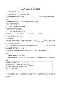 2025年云南省中考语文试卷(含详细答案解析)