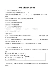 2025年云南省中考语文试卷(含详细答案解析)