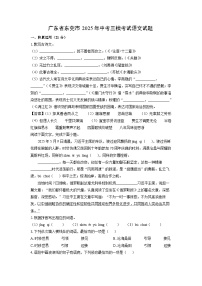 广东省东莞市2025年中考三模考试语文试卷(解析版)