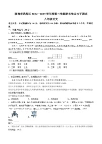 甘肃省陇南市武都区2024-2025学年八年级下学期期末语文试题