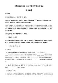 2025年宁夏回族自治区中考语文真题（含解析）
