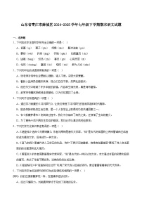 山东省枣庄市薛城区2024-2025学年七年级下学期期末考试语文试题（含答案）