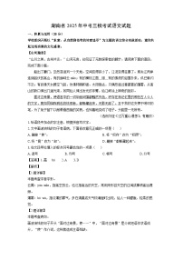 湖南省2025年中考三模考试语文试题（解析版）