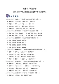 专题01 字音字形（真题精选）-2025-2026学年八年级语文上册期中复习分层训练