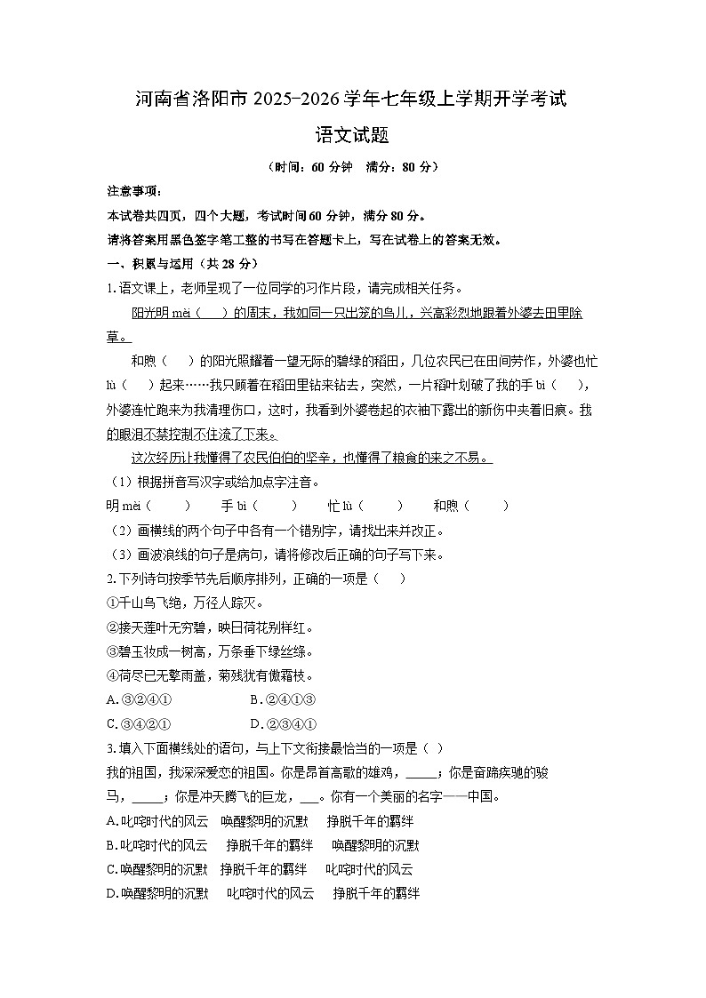 河南省洛阳市2025-2026学年七年级上学期开学考试语文语文试卷(学生版)第1页