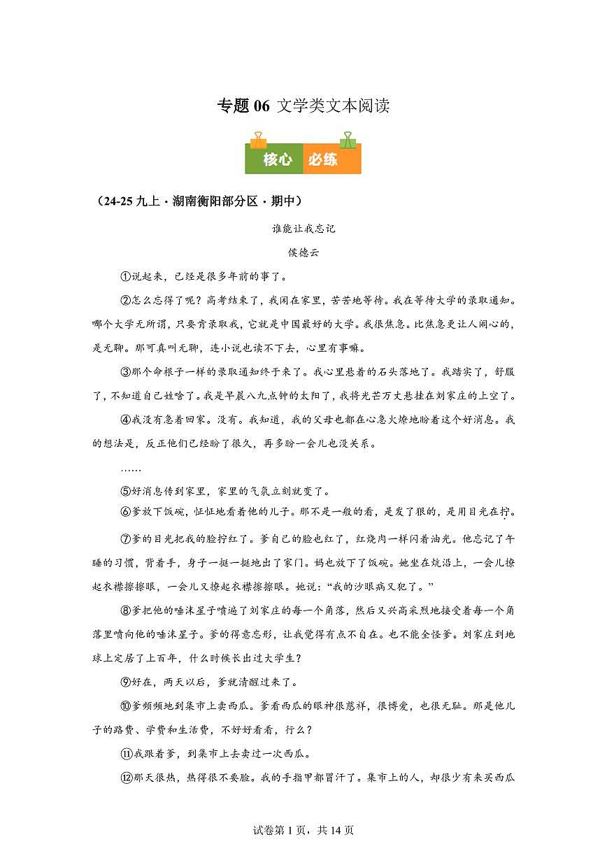 专题06文学类文本阅读(期中真题专题练习 湖南专用)九年级语文上学期【附答案】第1页