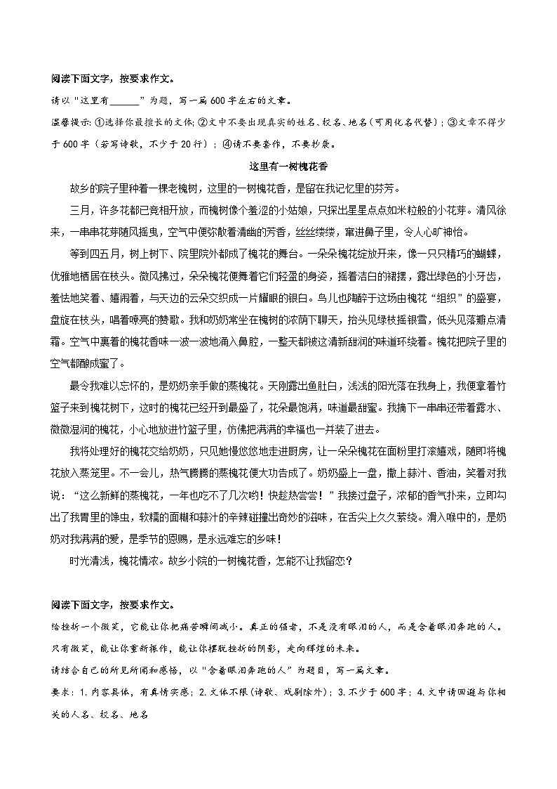 04《这里有一树槐花香》《含着眼泪奔跑的人》《能自律者为俊杰》《那一次绽放》《我的班主任》-2026年中考语文优秀范文讲练(全国通用)第1页