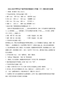 2024-2025学年辽宁省丹东市东港市八年级（下）期末语文试卷（含详细答案解析）