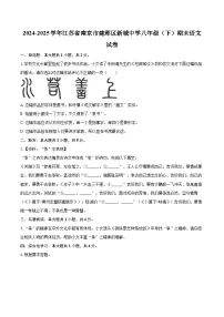 2024-2025学年江苏省南京市建邺区新城中学八年级（下）期末语文试卷(含详细答案解析)