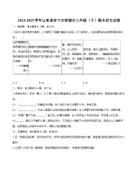 2024-2025学年山东省济宁市邹城市八年级（下）期末语文试卷（含详细答案解析）